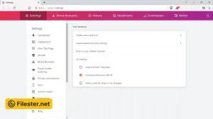 brave-browser-49737753.webp